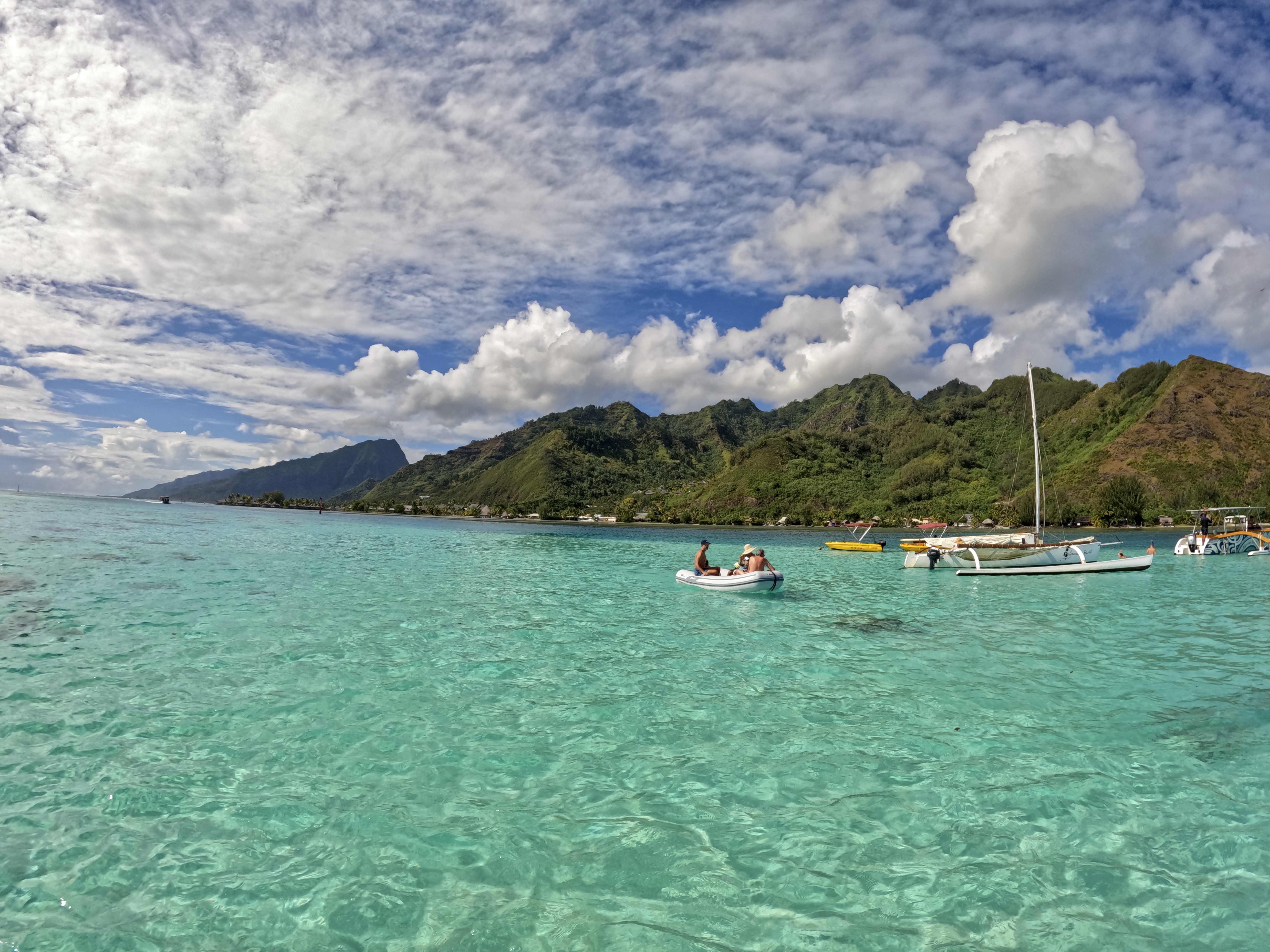 2022 Tahiti Taravao HXP - Day 4 (Kass's Birthday, Swimming with Sharks & Stingrays, Motu Fareone Island, Making Motu Fareone (E'ia Ota), Catching Crabs for 'Alca-Crab', Dance Party on Ferry to Tahiti, Catching Geckos)